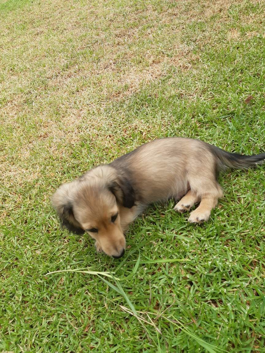 Exploring the property