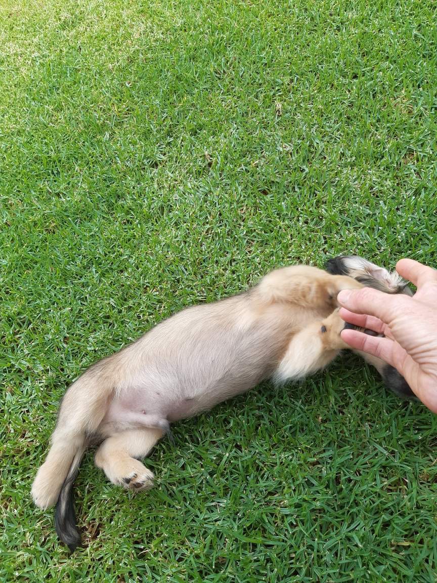 First weeks outdoors